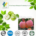 High quality natural fructus instant apple tea powder & apple tea powder